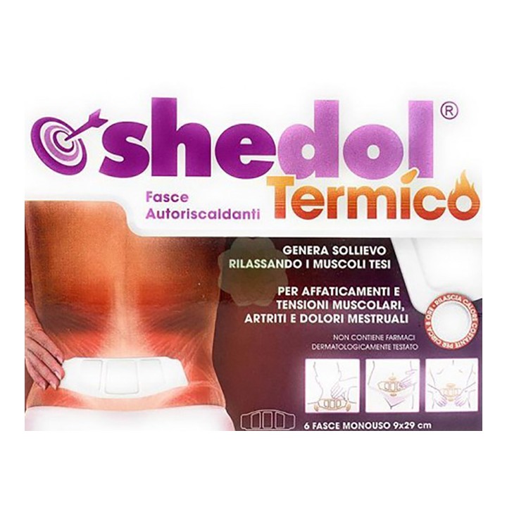 SHEDOL TERMICO CER 6PZ