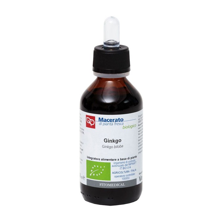GINKGO BILOBA TM 100ML BIO