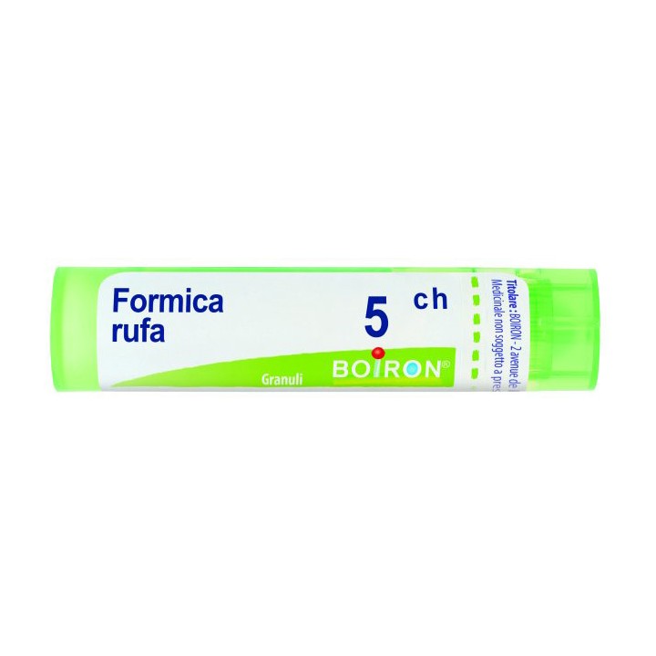 FORMICA RUFA 5CH GR 4G