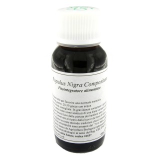 LVS 43N POPULUS NIGRA COMP