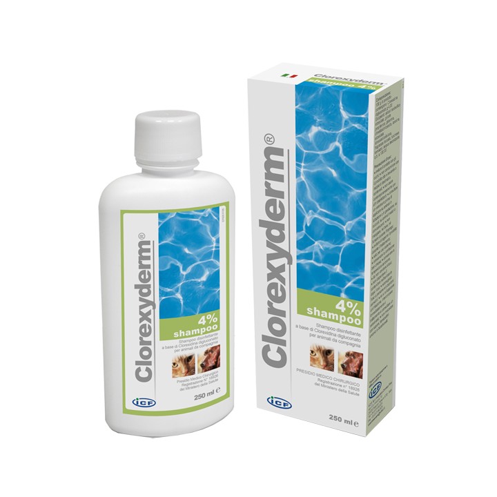 CLOREXYDERM SH 4% 250ML