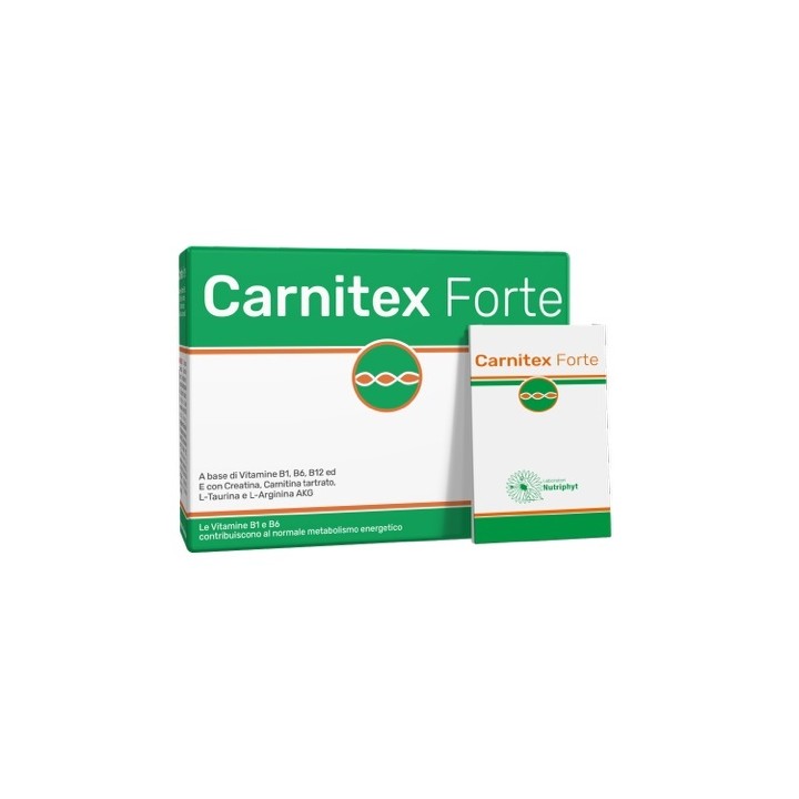 CARNITEX FORTE 14BUST