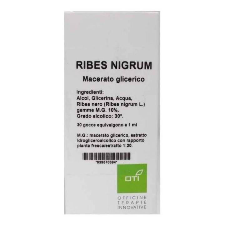 RIBES NIGRUM MG10% GOCCE 100ML