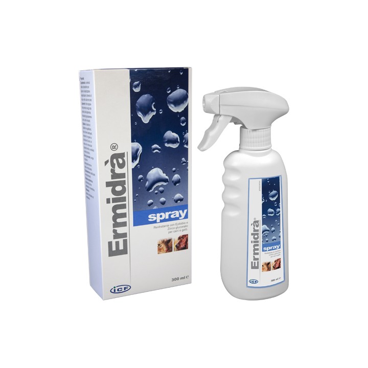 ERMIDRA' SPRAY 300ML