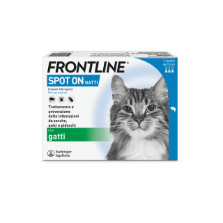 FRONTLINE*3PIP GATTI