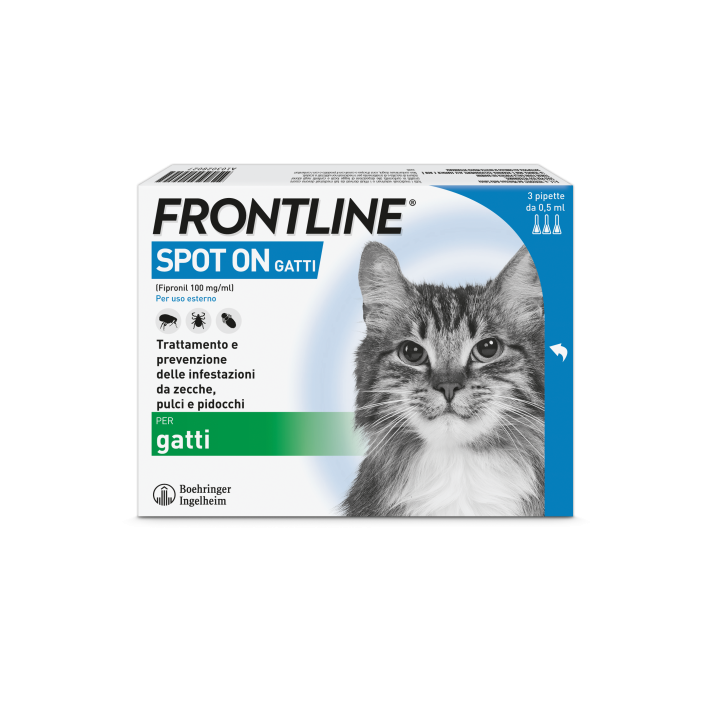 FRONTLINE*3PIP GATTI
