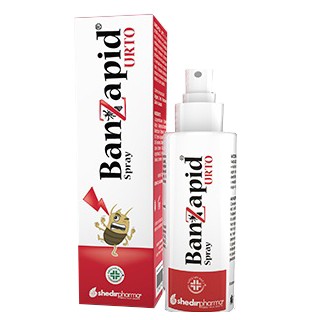 BANZAPID SPR TRATTAMENTO 100ML