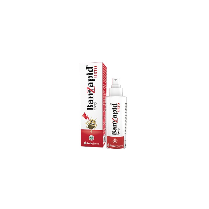 BANZAPID SPR TRATTAMENTO 100ML